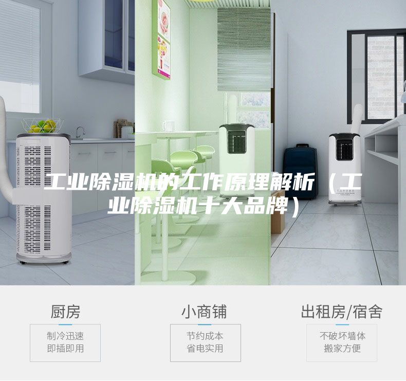 工业除湿机的工作原理解析（工业除湿机十大品牌）