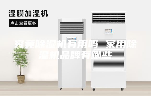 究竟除湿机有用吗 家用除湿机品牌有哪些