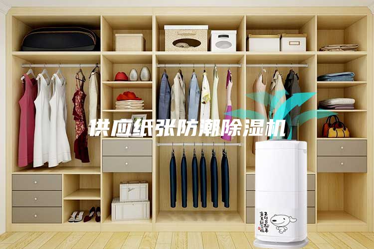 供应纸张防潮除湿机
