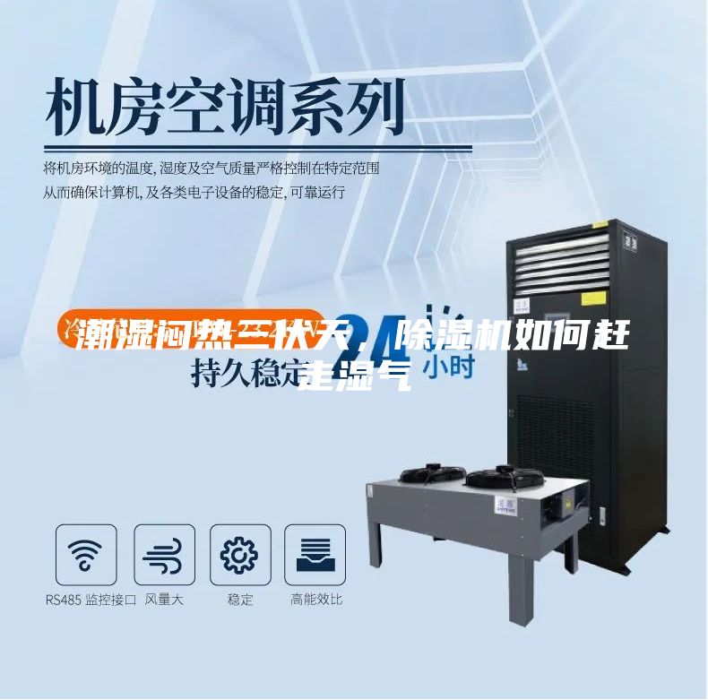 潮湿闷热三伏天，除湿机如何赶走湿气