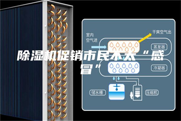 除湿机促销市民不太“感冒”