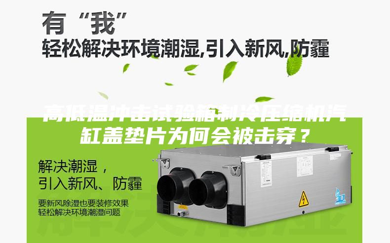 高低温冲击试验箱制冷压缩机汽缸盖垫片为何会被击穿？