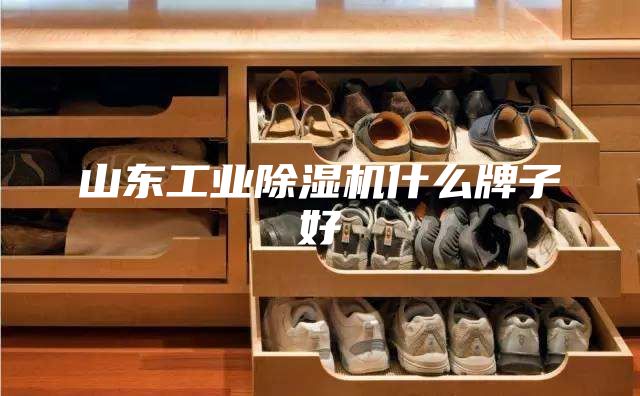 山东工业除湿机什么牌子好