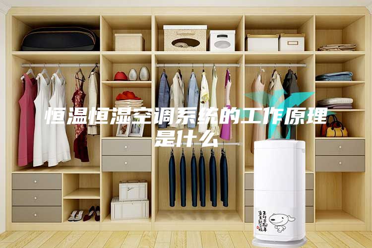 恒温恒湿空调系统的工作原理是什么
