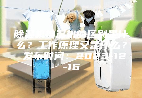除湿机抽湿机的区别是什么？工作原理又是什么？ 发布时间：2023-12-16