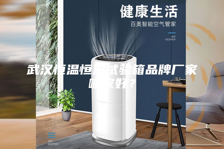 武汉恒温恒湿试验箱品牌厂家哪家好？