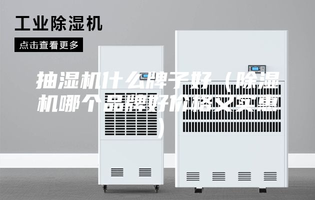 抽湿机什么牌子好（除湿机哪个品牌好价格又实惠）