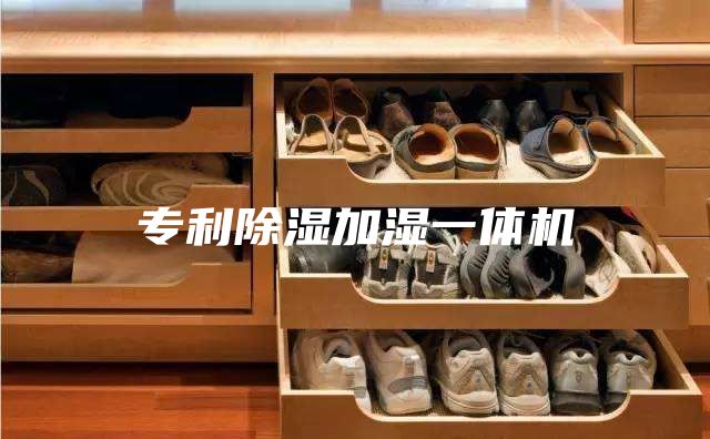 专利除湿加湿一体机