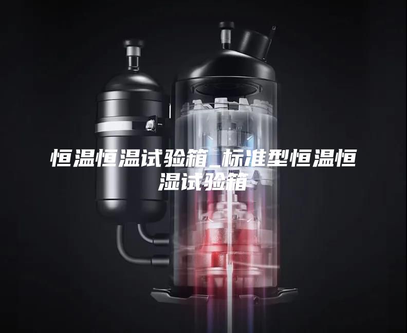 恒温恒温试验箱_标准型恒温恒湿试验箱