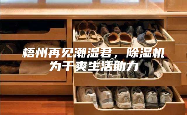 梧州再见潮湿君，除湿机为干爽生活助力