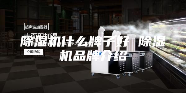 除湿机什么牌子好 除湿机品牌介绍