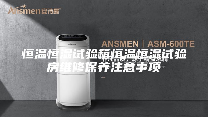恒温恒湿试验箱恒温恒湿试验房维修保养注意事项