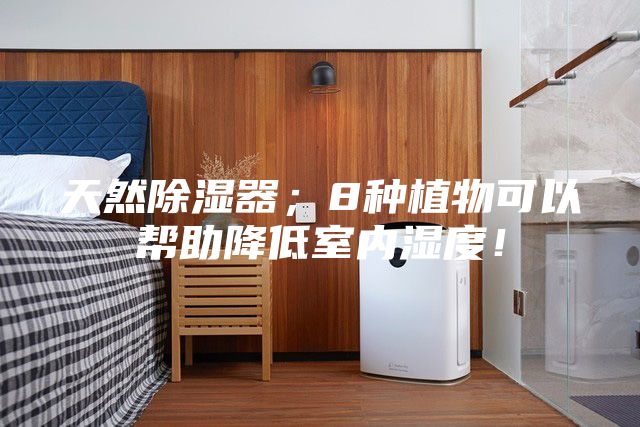 天然除湿器；8种植物可以帮助降低室内湿度！