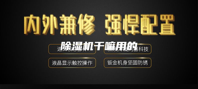 除湿机干嘛用的