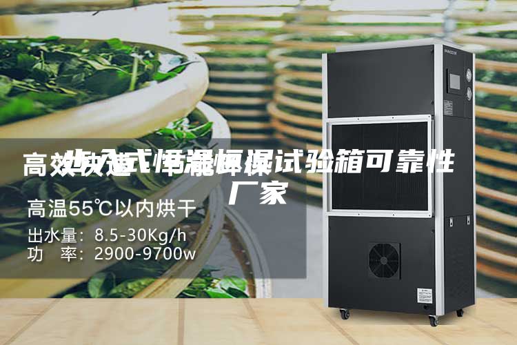步入式恒温恒湿试验箱可靠性厂家