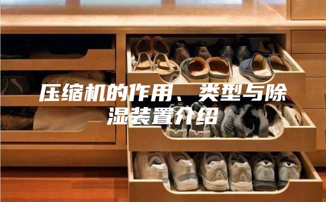 压缩机的作用、类型与除湿装置介绍