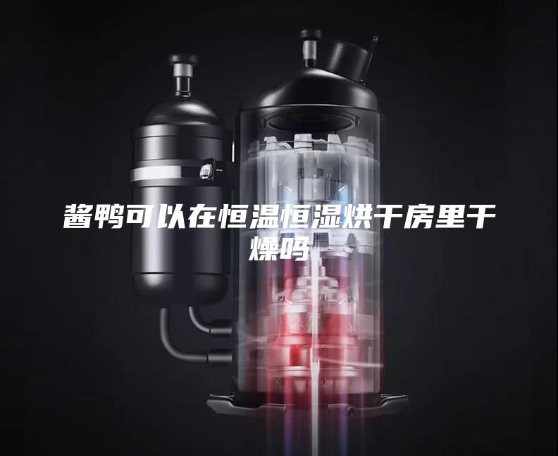 酱鸭可以在恒温恒湿烘干房里干燥吗