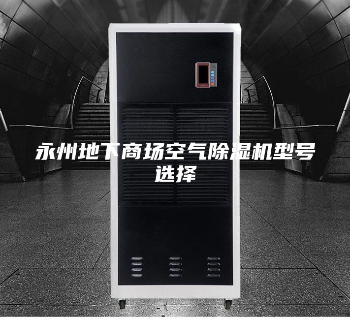 永州地下商场空气除湿机型号选择
