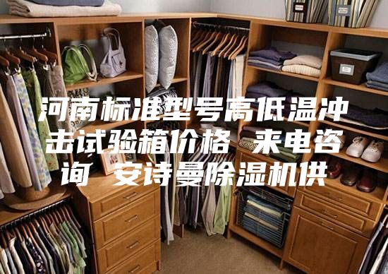 河南标准型号高低温冲击试验箱价格 来电咨询 安诗曼除湿机供