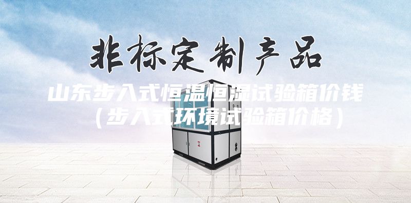 山东步入式恒温恒湿试验箱价钱（步入式环境试验箱价格）