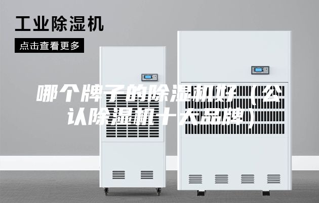 哪个牌子的除湿机好（公认除湿机十大品牌）