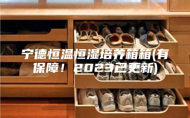 宁德恒温恒湿培养箱箱(有保障！2023已更新)
