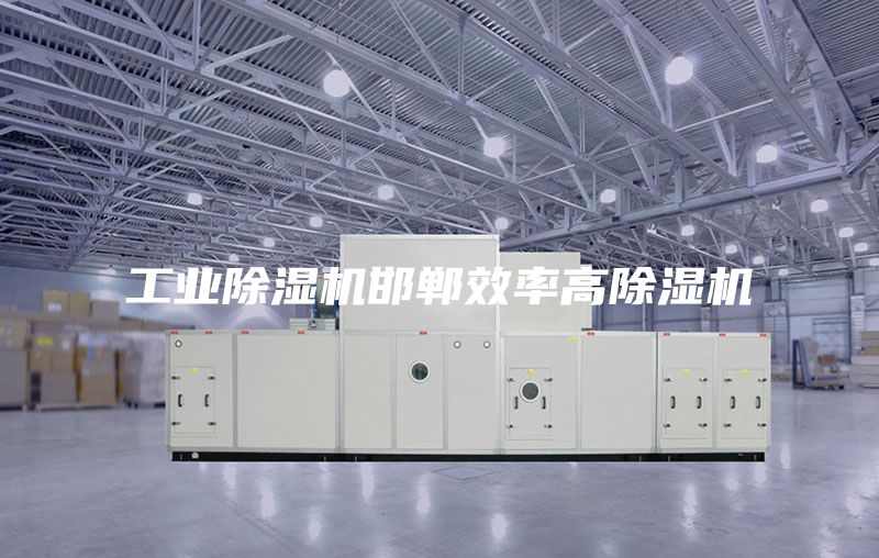 工业除湿机邯郸效率高除湿机