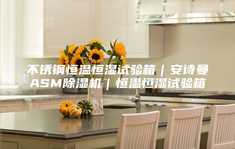 不锈钢恒温恒湿试验箱｜安诗曼ASM除湿机｜恒温恒湿试验箱