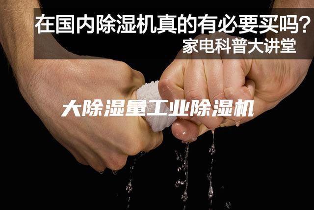 大除湿量工业除湿机