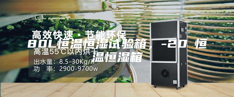 80L恒温恒湿试验箱，-20℃恒温恒湿箱