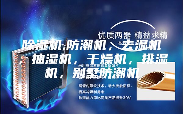 除湿机,防潮机，去湿机，抽湿机，干燥机，排湿机，别墅防潮机