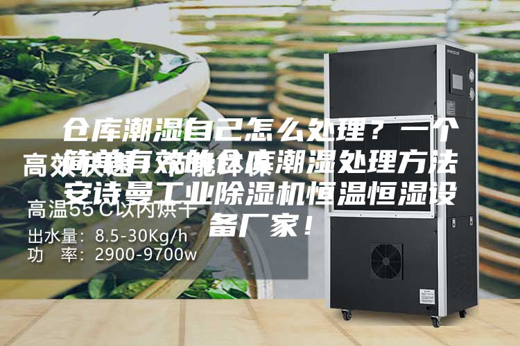 仓库潮湿自己怎么处理？一个简单有效的仓库潮湿处理方法安诗曼工业除湿机恒温恒湿设备厂家！