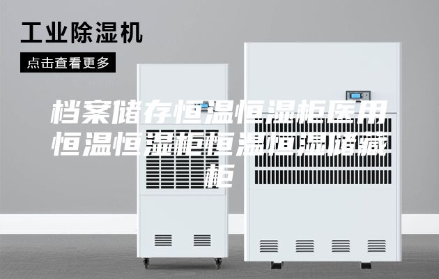 档案储存恒温恒湿柜医用恒温恒湿柜恒温恒湿储藏柜