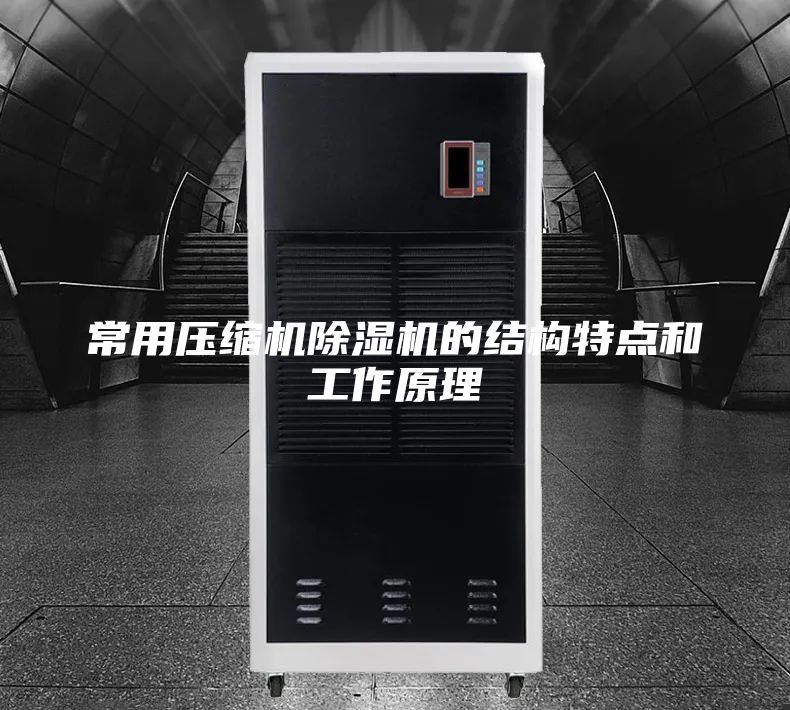常用压缩机除湿机的结构特点和工作原理