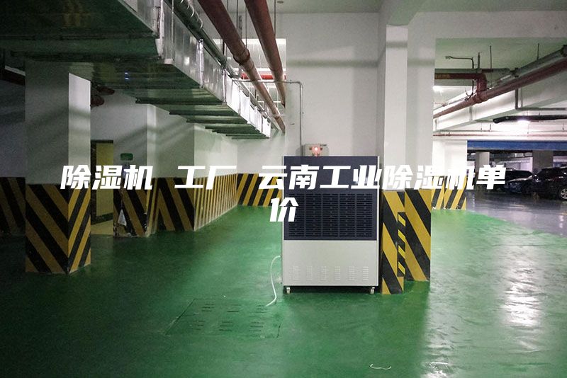 除湿机 工厂 云南工业除湿机单价