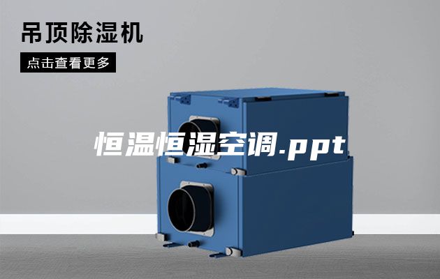 恒温恒湿空调.ppt