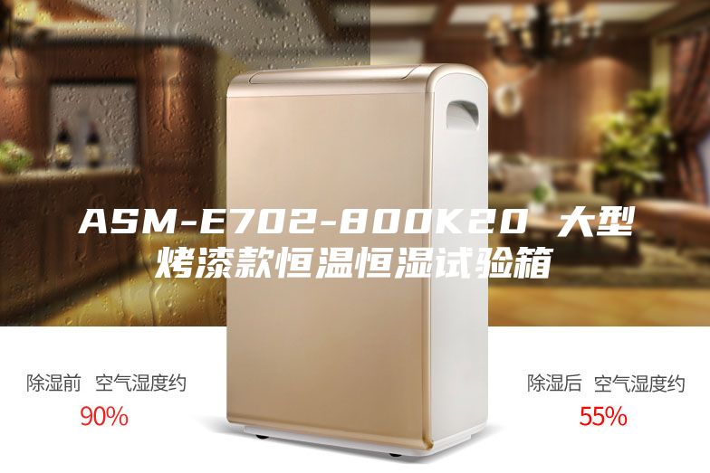 ASM-E702-800K20 大型烤漆款恒温恒湿试验箱
