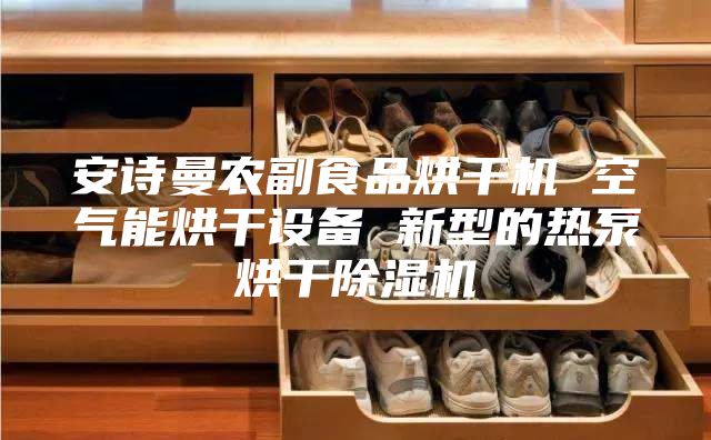安诗曼农副食品烘干机 空气能烘干设备 新型的热泵烘干除湿机