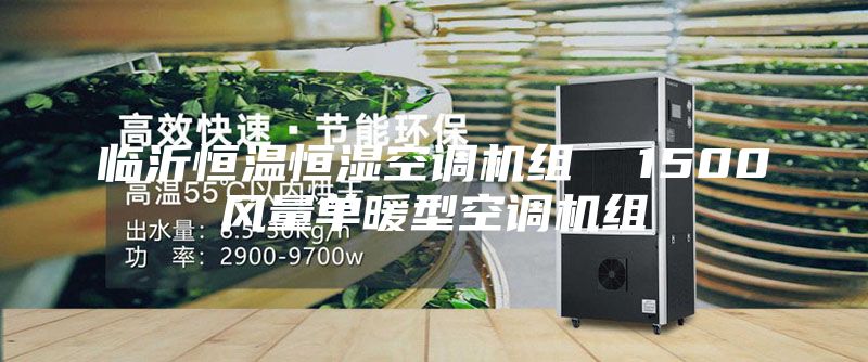 临沂恒温恒湿空调机组  1500风量单暖型空调机组