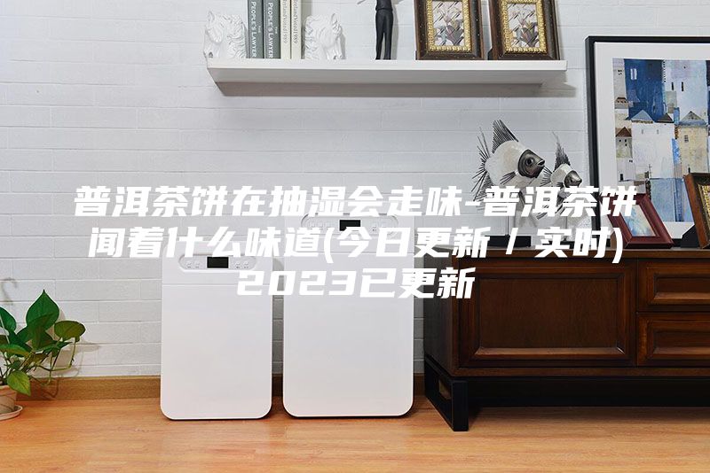 普洱茶饼在抽湿会走味-普洱茶饼闻着什么味道(今日更新／实时)2023已更新
