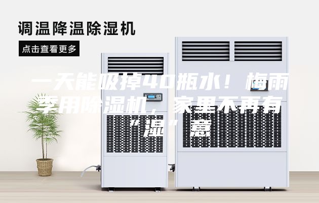 一天能吸掉40瓶水！梅雨季用除湿机，家里不再有“湿”意