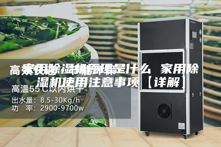 家用除湿机原理是什么 家用除湿机使用注意事项【详解】