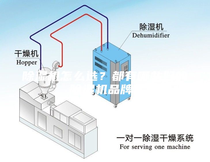除湿机怎么选？都有哪些好的除湿机品牌？