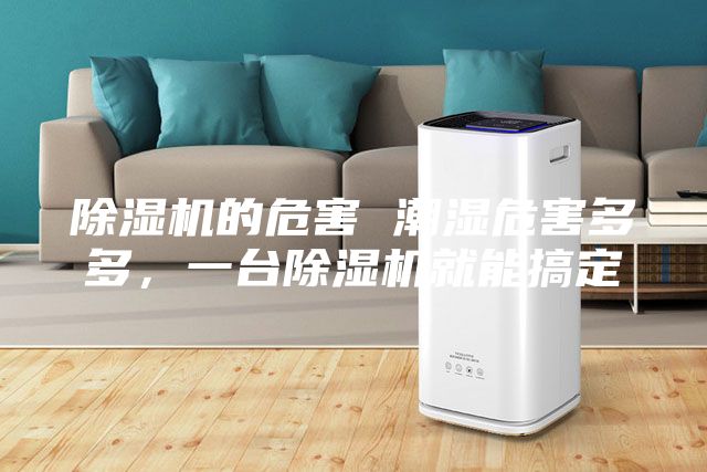 除湿机的危害 潮湿危害多多，一台除湿机就能搞定