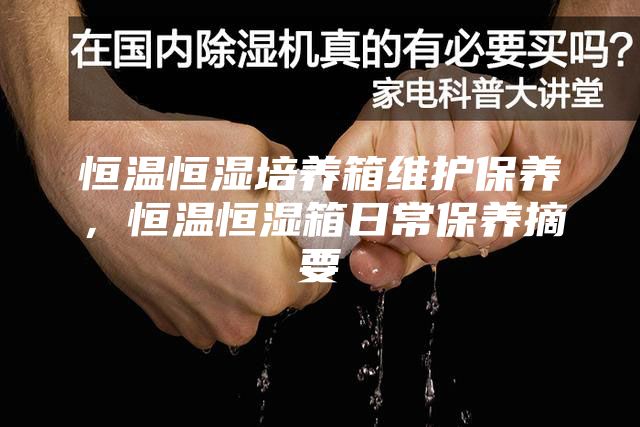 恒温恒湿培养箱维护保养，恒温恒湿箱日常保养摘要