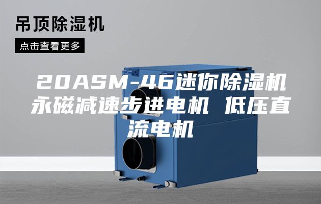 20ASM-46迷你除湿机永磁减速步进电机 低压直流电机