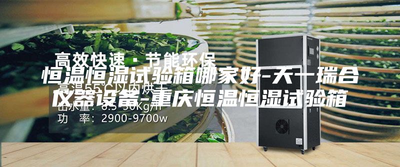 恒温恒湿试验箱哪家好-天一瑞合仪器设备-重庆恒温恒湿试验箱