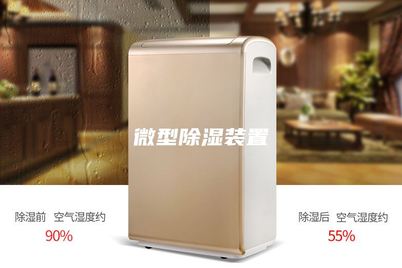 微型除湿装置