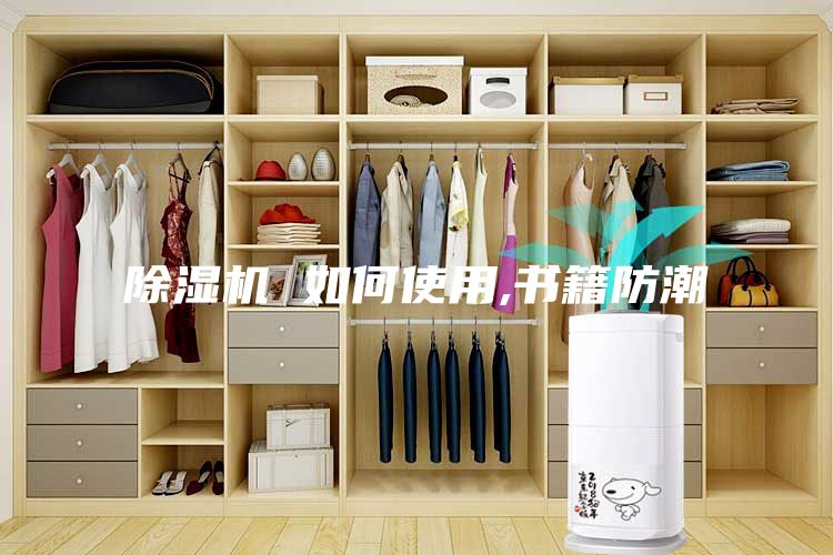 除湿机 如何使用,书籍防潮