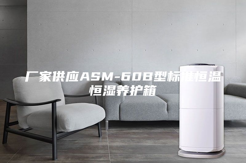 厂家供应ASM-60B型标准恒温恒湿养护箱